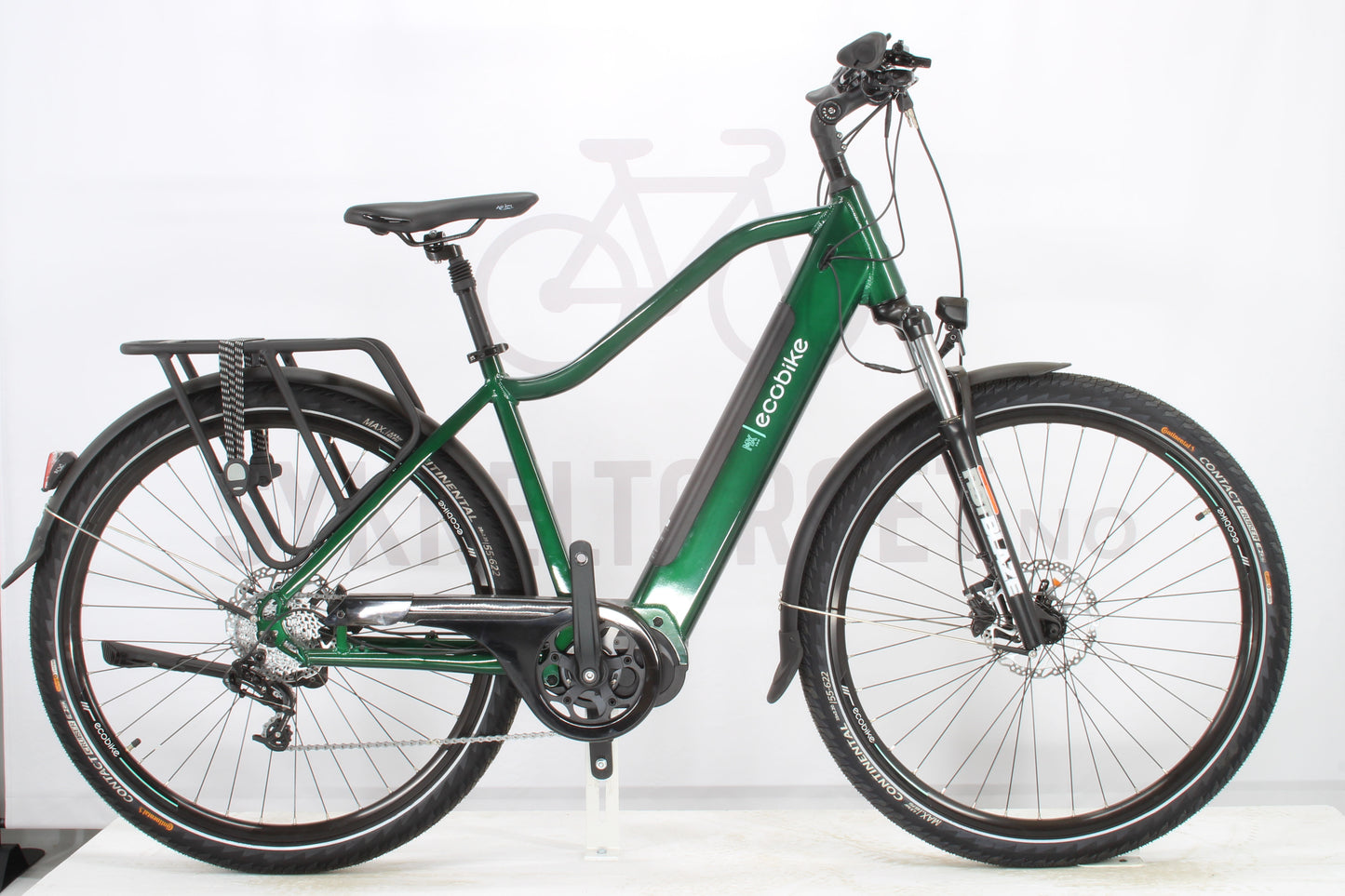 Ecobike MX300 2024