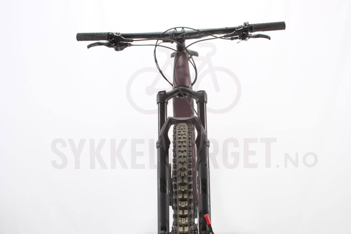 Orbea Rise H30 2024 XL Mulberry Black