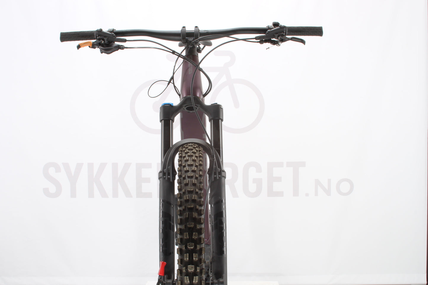 Orbea Rise H10 2024